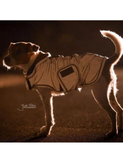 Couverture Chien Réfléchissante Imperméable Kentucky -Nature Dog Promos Boutique couverture chien reflechissante impermeable kentucky 2
