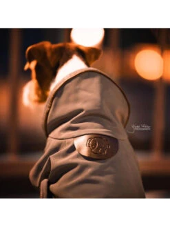 Couverture Chien Réfléchissante Imperméable Kentucky -Nature Dog Promos Boutique couverture chien reflechissante impermeable kentucky 5