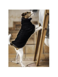 Manteau-serviette Pour Chien Kentucky -Nature Dog Promos Boutique couverture chien towel kentucky 3