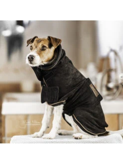 Manteau-serviette Pour Chien Kentucky -Nature Dog Promos Boutique couverture chien towel kentucky 4