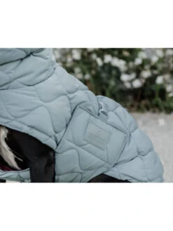 Couverture D'hiver Pour Chien Pina 160g Kentucky -Nature Dog Promos Boutique couverture hiver pour chien pina 160g kentucky equipement 3