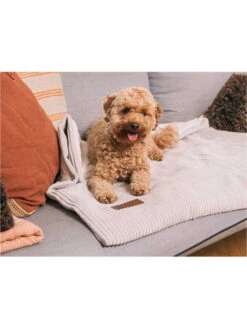 Couverture Homey Fantail -Nature Dog Promos Boutique couverture homey fantail 2