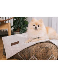 Couverture Homey Fantail -Nature Dog Promos Boutique couverture homey fantail 3