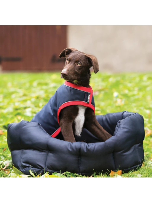 Couverture Imperméable Pour Chien Rambo Dog Rug Horseware 2 Couverture Imperméable Pour Chien Rambo Dog Rug Horseware – Image 2