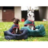 Couverture Imperméable Pour Chien Rambo Dog Rug Horseware