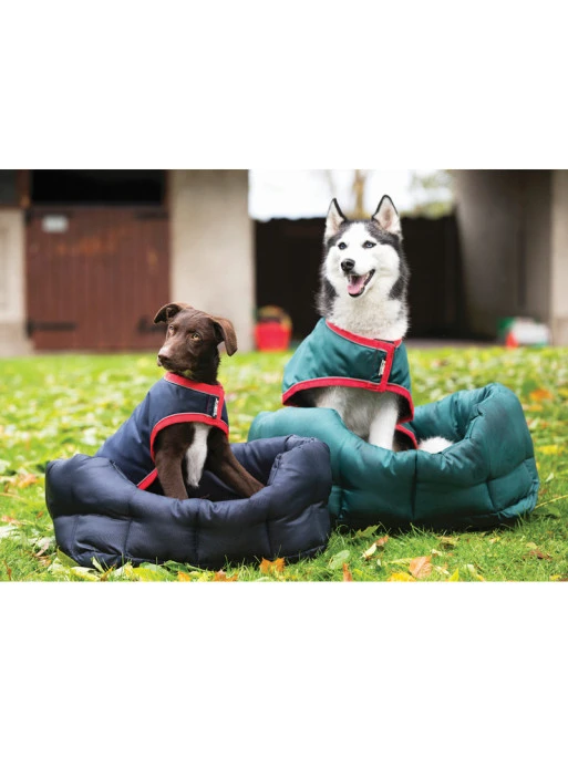 Couverture Imperméable Pour Chien Rambo Dog Rug Horseware 1 Couverture Imperméable Pour Chien Rambo Dog Rug Horseware