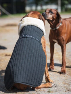 Couverture Pour Chien GEM -Nature Dog Promos Boutique couverture matelassee pour chien gem 2