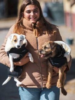 Couverture Pour Chien GEM -Nature Dog Promos Boutique couverture matelassee pour chien gem 3