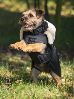 Couverture Pour Chien GEM -Nature Dog Promos Boutique couverture matelassee pour chien gem 8