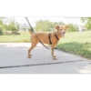 PetSafe Dispositif De Retenue Et Harnais3 En 1 Noir