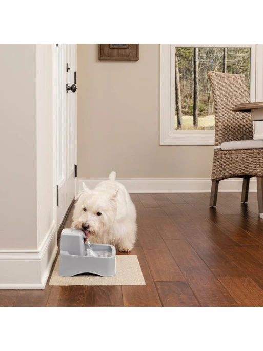 Fontaine 1.8L Drinkwell Petsafe 2 Fontaine 1.8L Drinkwell Petsafe – Image 2
