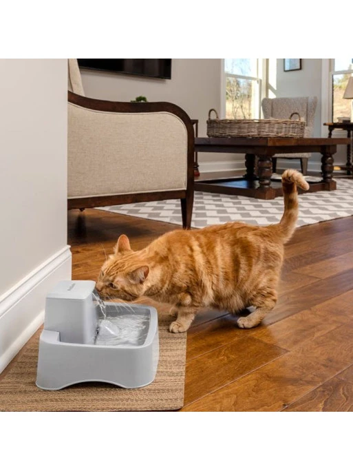 Fontaine 1.8L Drinkwell Petsafe 1 Fontaine 1.8L Drinkwell Petsafe