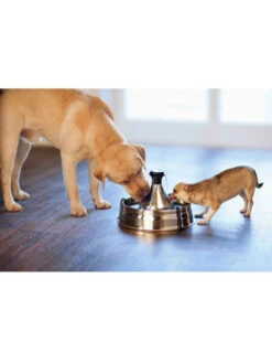 Fontaine 360 Drinkwell Inox PetSafe -Nature Dog Promos Boutique fontaine 360 drinkwell inox petsafe 3