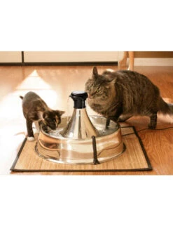 Fontaine 360 Drinkwell Inox PetSafe -Nature Dog Promos Boutique fontaine 360 drinkwell inox petsafe 4