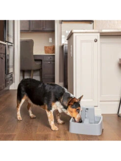 Fontaine 3.7L Drinkwell Petsafe