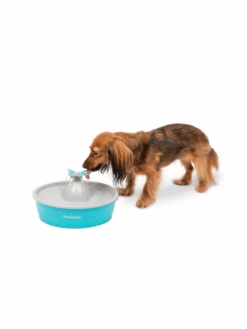PetSafe Fontaine BUTTERFLY - 1.5L -Nature Dog Promos Boutique fontaine butterfly 15l 4