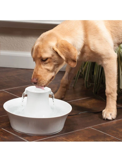 Fontaine Céramique Drinkwell Avalon 2L PetSafe 2 Fontaine Céramique Drinkwell Avalon 2L PetSafe – Image 2