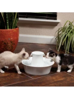 Fontaine Céramique Drinkwell Avalon 2L PetSafe