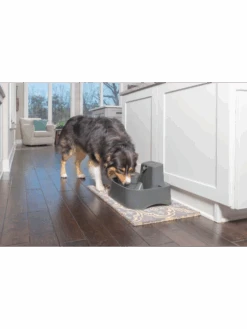 PetSafe Fontaine Drinkwell - 7.5L -Nature Dog Promos Boutique fontaine drinkwell 75l 3