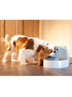 Fontaine Drinkwell Original 1.5 L PetSafe -Nature Dog Promos Boutique fontaine drinkwell original 15 l petsafe 2