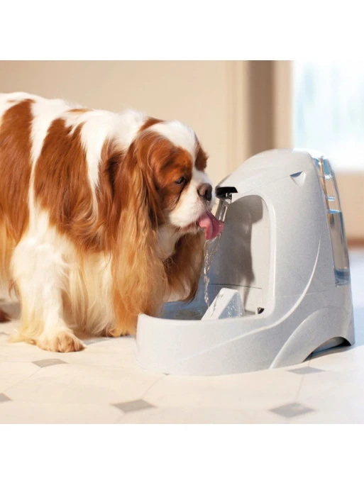 Fontaine Drinkwell Platinum 5 L PetSafe 1 Fontaine Drinkwell Platinum 5 L PetSafe