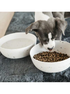 Gamelle Pour Chien Bamboo Terrazzo Kentucky -Nature Dog Promos Boutique gamelle pour chien bamboo terrazzo kentucky 3