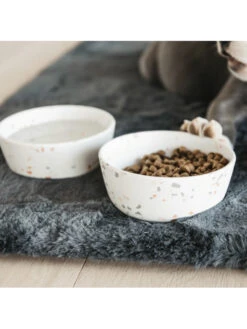 Gamelle Pour Chien Bamboo Terrazzo Kentucky -Nature Dog Promos Boutique gamelle pour chien bamboo terrazzo kentucky 7