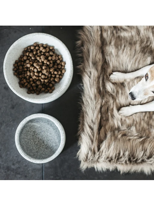 Gamelle Pour Chien Granit Kentucky 2 Gamelle Pour Chien Granit Kentucky – Image 2