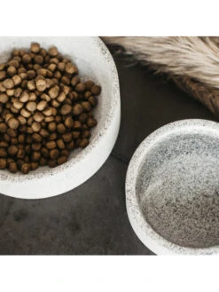 Gamelle Pour Chien Granit Kentucky 5 Gamelle Pour Chien Granit Kentucky -Nature Dog Promos Boutique gamelle pour chien granit kentucky 2