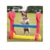 Rosewood Haie Agility Indoor