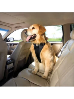 Kurgo Harnais De Sécurité Tru-Fit Pour Chien -Nature Dog Promos Boutique harnais de securite tru fit pour chien 2