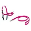 PetSafe Harnais Easy Walk Framboise