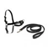 PetSafe Harnais Easy Walk Noir