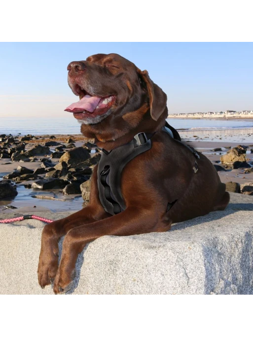 Kurgo Harnais - JOURNEY AIR - Noir 3 Kurgo Harnais - JOURNEY AIR - Noir – Image 3