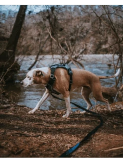 Kurgo Harnais - JOURNEY AIR - Noir