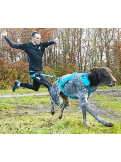 Harnais X-Back Phoenix ALM I-DOG