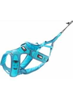 Harnais X-Back Phoenix ALM I-DOG -Nature Dog Promos Boutique harnais phoenix gamme alm bleu 3