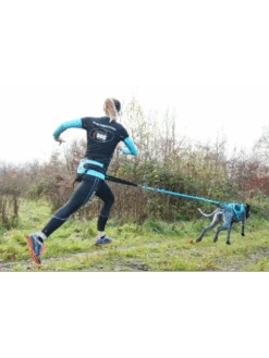 Harnais X-Back Phoenix ALM I-DOG -Nature Dog Promos Boutique harnais phoenix gamme alm bleu 4