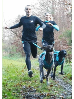 Harnais X-Back Phoenix ALM I-DOG -Nature Dog Promos Boutique harnais phoenix gamme alm bleu 5