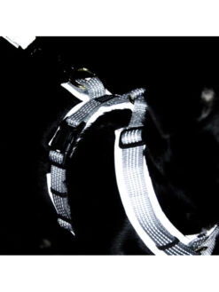 Harnais Pour Chien Active Reflective Kentucky -Nature Dog Promos Boutique harnais pour chien active reflective kentucky 2