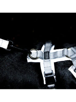 Harnais Pour Chien Active Reflective Kentucky -Nature Dog Promos Boutique harnais pour chien active reflective kentucky 3