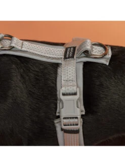 Harnais Pour Chien Active Reflective Kentucky -Nature Dog Promos Boutique harnais pour chien active reflective kentucky 4