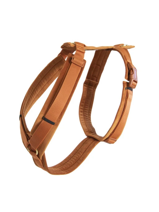 Harnais Pour Chien Actif Velvet Kentucky 2 Harnais Pour Chien Actif Velvet Kentucky – Image 2