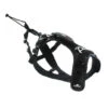 Harnais Raidlight I-Dog
