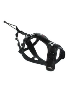 Harnais Raidlight I-Dog