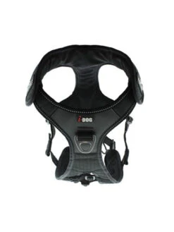 Harnais Raidlight I-Dog -Nature Dog Promos Boutique harnais raidlight i dog 5