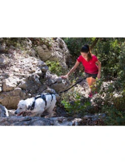 Harnais Raidlight I-Dog -Nature Dog Promos Boutique harnais raidlight i dog 6