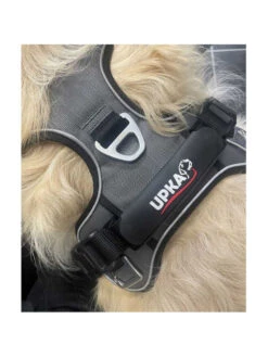 Harnais Style I-Dog 6 Harnais Style I-Dog -Nature Dog Promos Boutique harnais style i dog 2