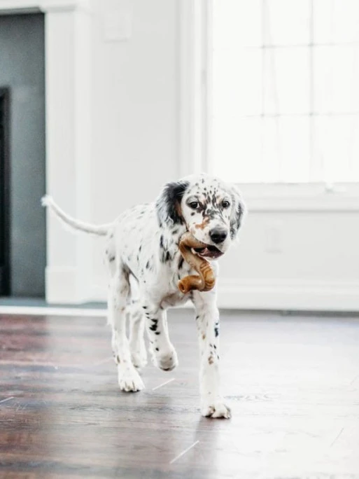 Jouet à Mâcher Et Distributeur De Friandises Tripebone Benebone 5 Jouet à Mâcher Et Distributeur De Friandises Tripebone Benebone – Image 5