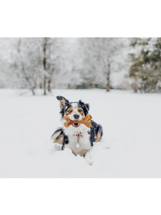 Jouet à Mâcher Stick Benebone 2 Jouet à Mâcher Stick Benebone – Image 2